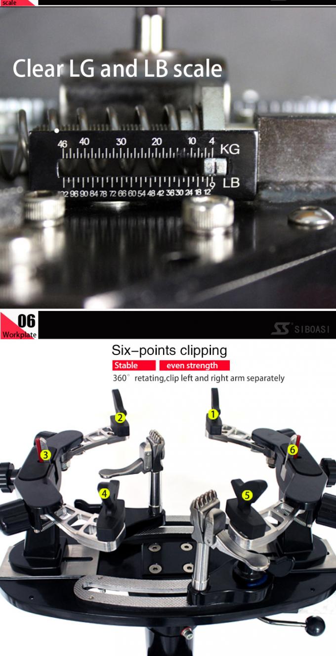 1 （6）
